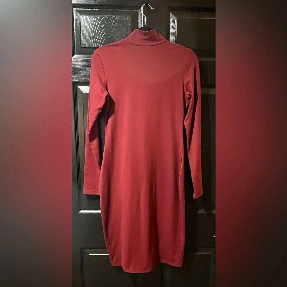 Susana Monaco Bodycon Dress - Picture 4 of 9